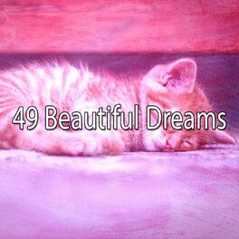 Album cover of 49 Beautiful Dreams