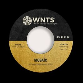 Album cover of Mosaic
