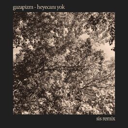 Album cover of Heyecanı Yok (SIS Remix)