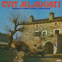 Album cover of CVIT MLADOSTI - NARODNE PJESME I SVIRKA JUŽNE ISTRE