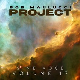 Album cover of Sine Voce, Volume Seventeen