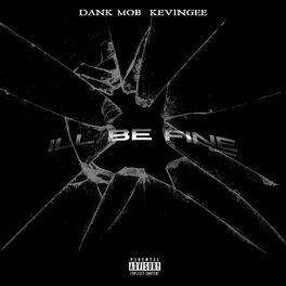 Album cover of I'll Be Fine (feat. Dank Mob)