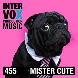 Album cover of Mister Cutie