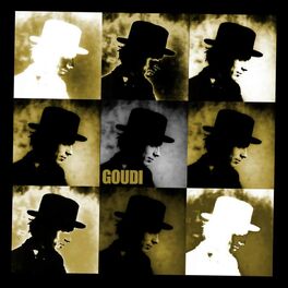 Album cover of Goudi
