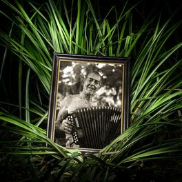 Album cover of La Línea del Río (Reversión 10 años)