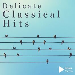 Album cover of Delicate Classical Hits