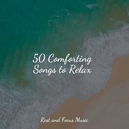 Album cover of 50 Comforting Songs to Relax