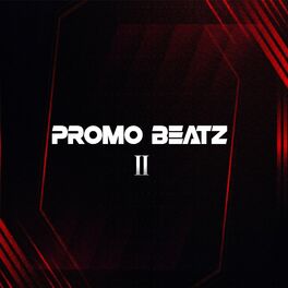 Album cover of Promo Beatz II