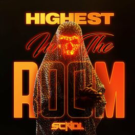 Album cover of Highest In The Room