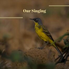 Album cover of Our Singing