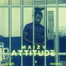 Album cover of Attitude