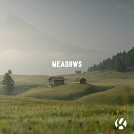 Album cover of Meadows