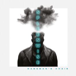 Album cover of Spleenwise