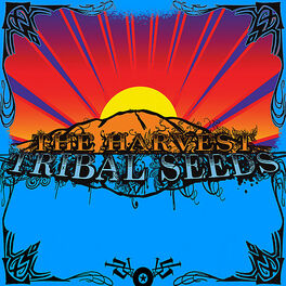 Album cover of The Harvest