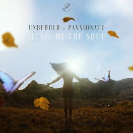 Album cover of Music Of The Soul