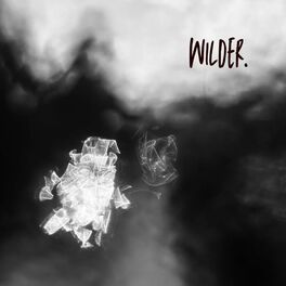 Album cover of Wilder
