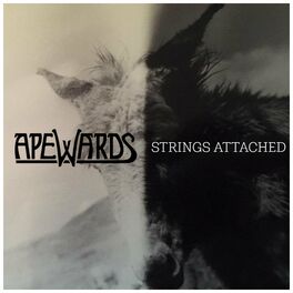 Album cover of Strings Attached