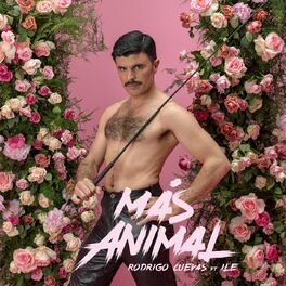 Album cover of MÁS ANIMAL (feat. iLe)