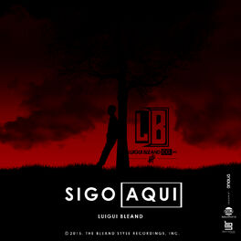 Album cover of Sigo Aquí