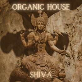 Album cover of Organic House - Shiva