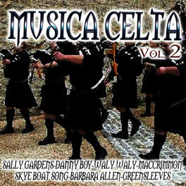 Album cover of Música Celta Vol.2