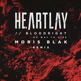 Album cover of Bloodright (No Way to Hide) (Moris Blak Remix)