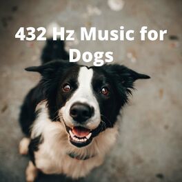 Album cover of 432 Hz Music for Dogs - Relaxing Sounds for Your Dog