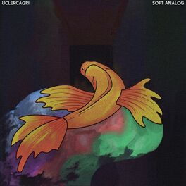 Album cover of Renklerim