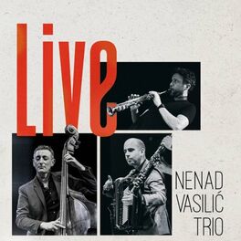 Album cover of Nenad Vasilic Trio Live