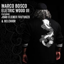 Album cover of Electricwood III