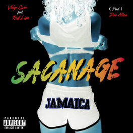 Album cover of Sacanage