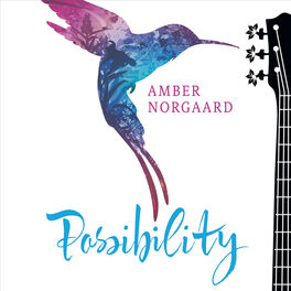 Album cover of Possibility