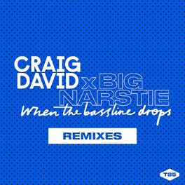 Album cover of When the Bassline Drops (Remixes)