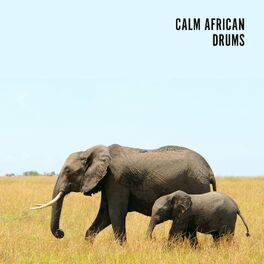 Album cover of Calm African Drums: Peaceful African Rhythms for Relaxation