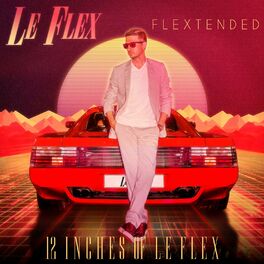 Album cover of Flextended