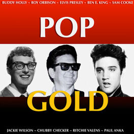 Album cover of Pop Gold