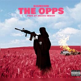 Album cover of The Opps