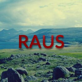 Album cover of Raus