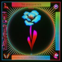 Album cover of Interstellar Love