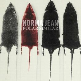 Album cover of Polar Similar