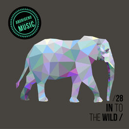 Album cover of In To The Wild - Vol.28