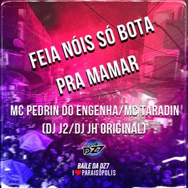 Album cover of Feia Nós Só Bota pra Mama