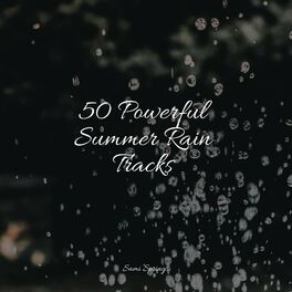 Album cover of 50 Powerful Summer Rain Tracks
