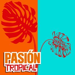 Album cover of Pasión Tropical