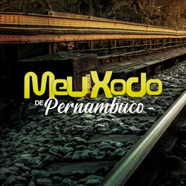 Album cover of Banda Meu Xodó De Pernambuco, Vol. 2