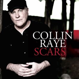 Album cover of Scars