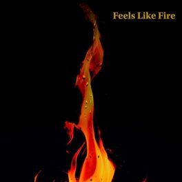 Album cover of Feels Like Fire (feat. Darren Porter)