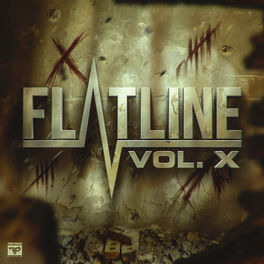 Album cover of Flatline Vol X