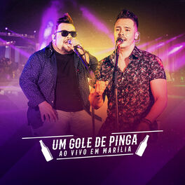 Album cover of Um Gole de Pinga (Ao Vivo em Marília)