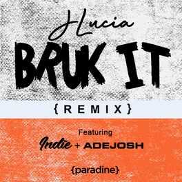Album cover of Bruk It (Remix)